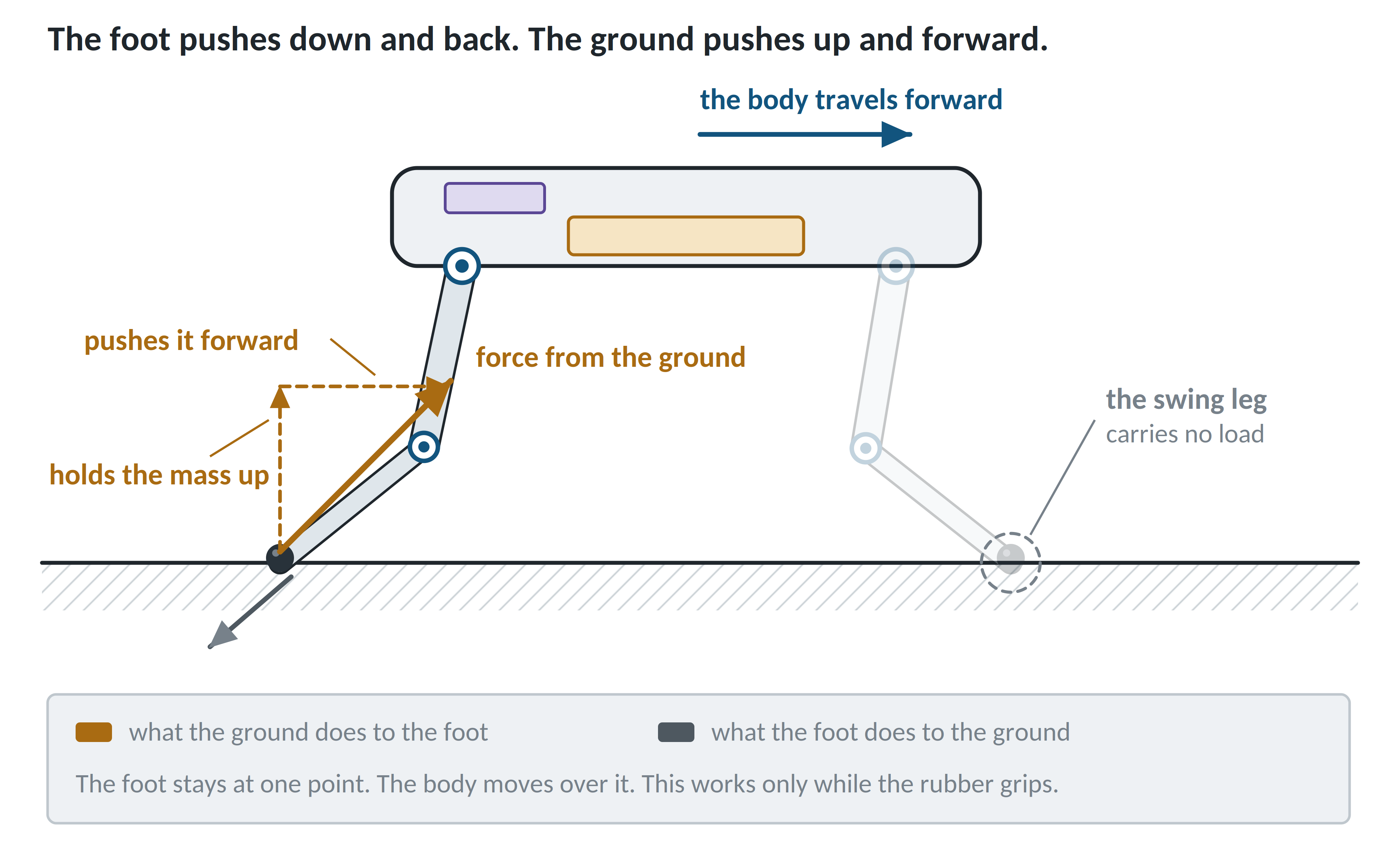 One stance leg pushing down and back while the ground pushes up and forward.