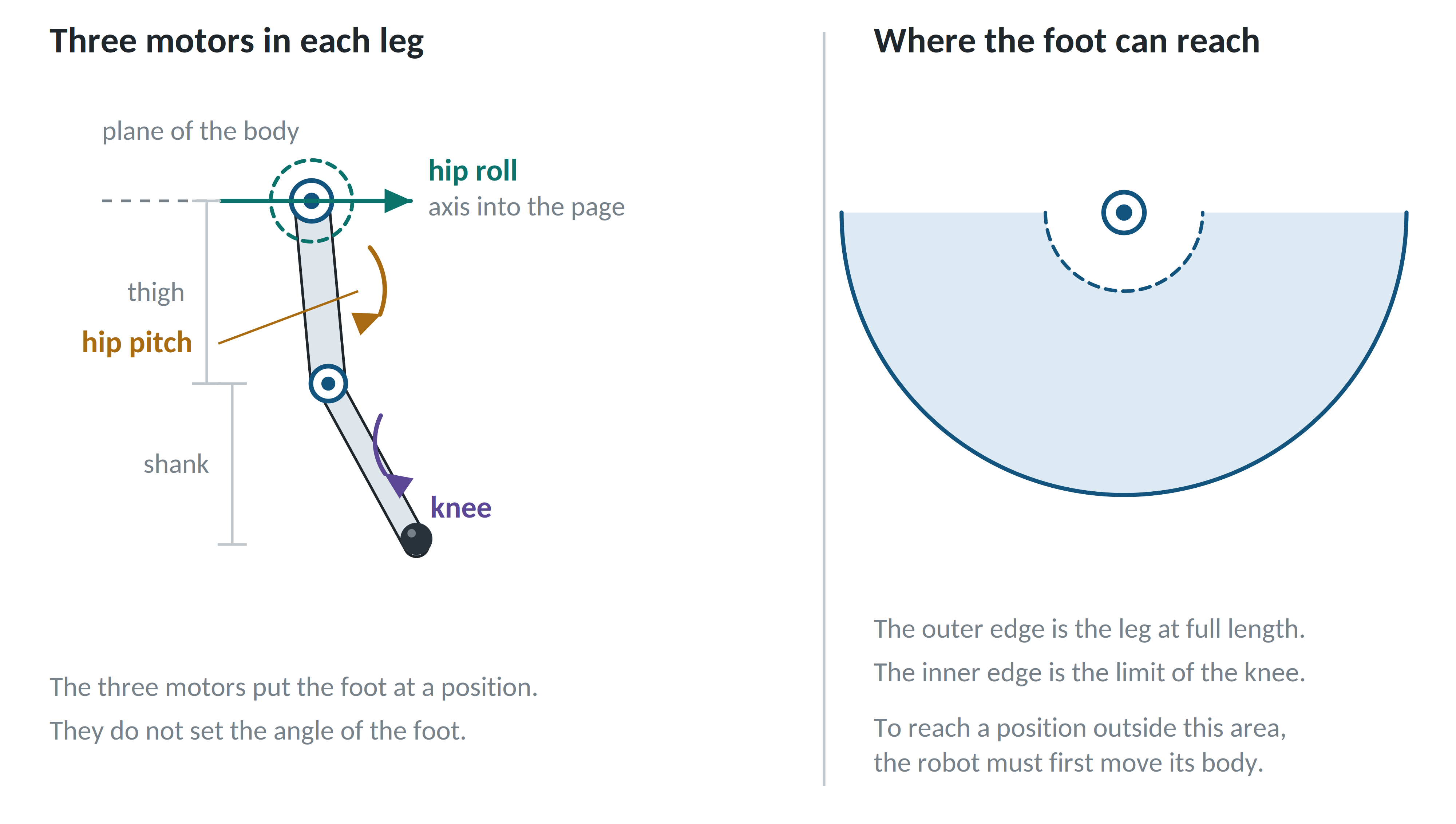 The three leg motors and the reachable area of the foot.