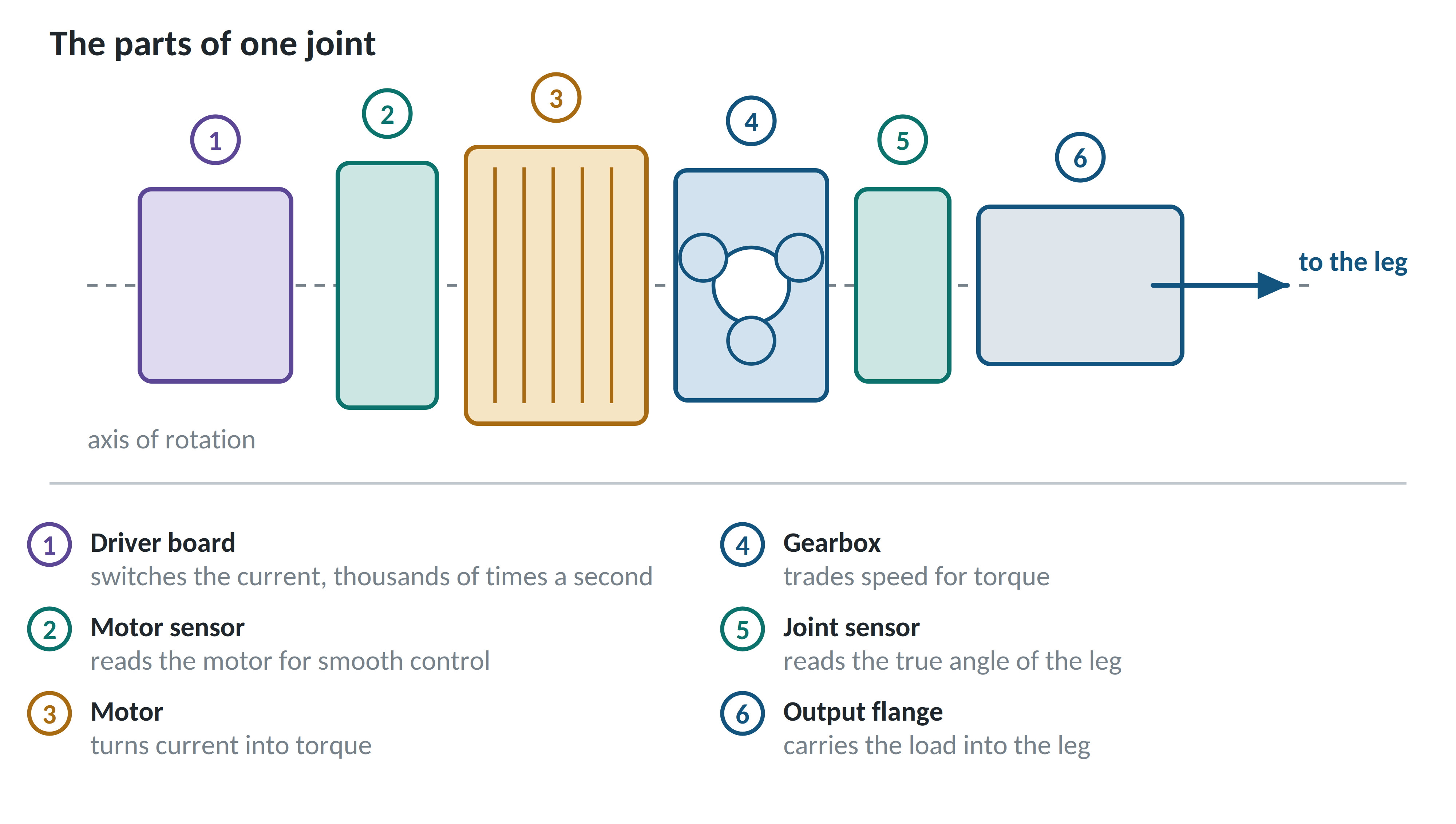 An exploded view of one joint: motor, gearbox and two sensors.