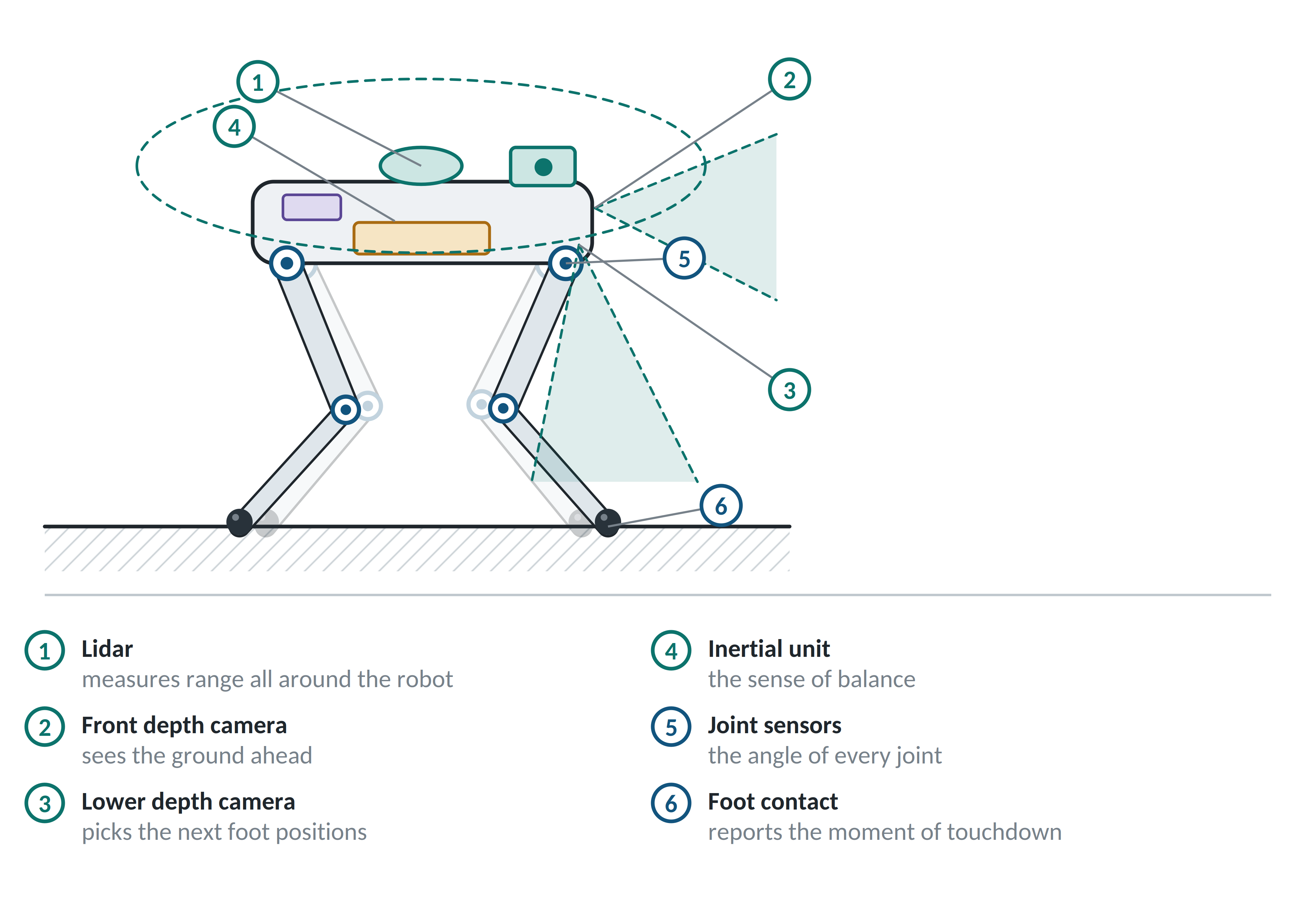 A quadruped's sensor suite, numbered by what each sensor observes.